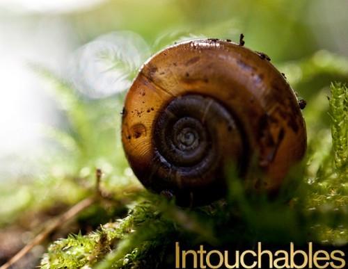 Escargots de quimper intouchables escargots de quimper intouchables