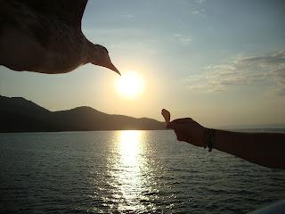 Découvrez la Grèce sous un autre angle... Découvrez la Grèce sous un autre angle...