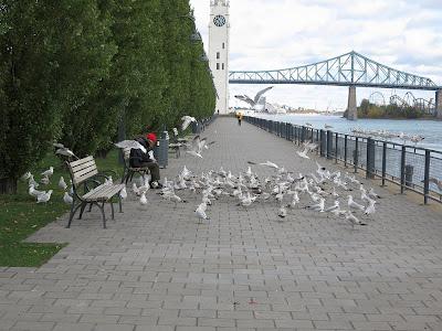 Croisière de rêve ou Rêve de croisière... Croisière de rêve ou Rêve de croisière...