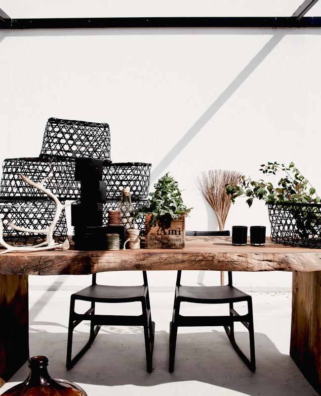 Daniella Witte Daniella Witte