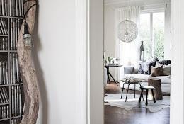 Daniella Witte Daniella Witte