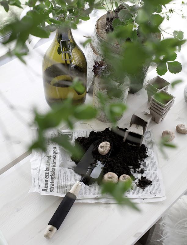 Daniella Witte Daniella Witte