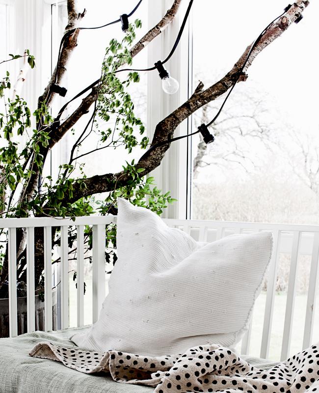 Daniella Witte Daniella Witte