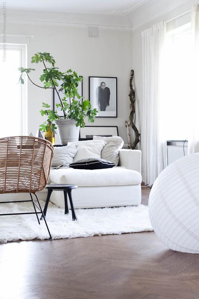 Daniella Witte Daniella Witte