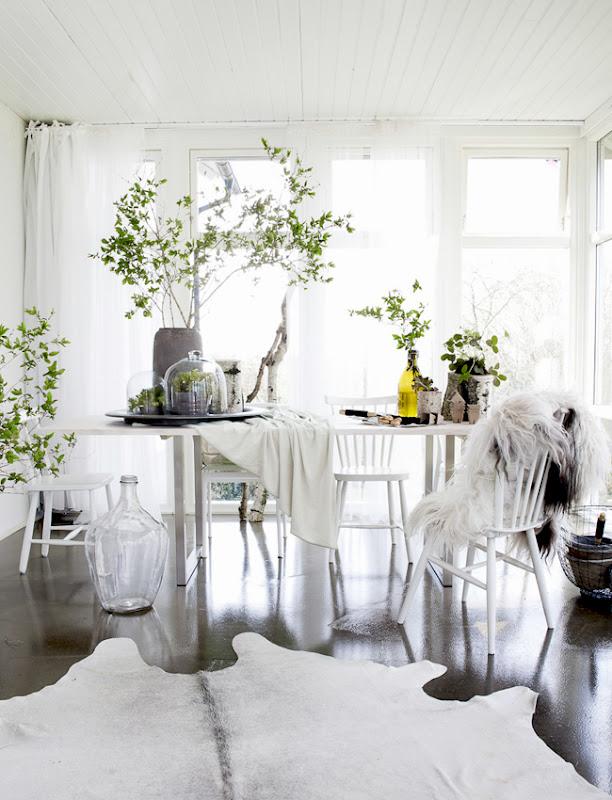 Daniella Witte Daniella Witte