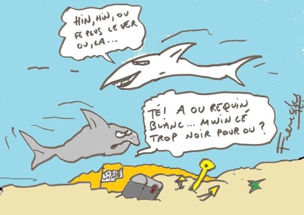 50 pays pour protéger les requins... en Allemagne 50 pays pour protéger les requins... en Allemagne