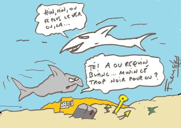 50 pays pour protéger les requins... en Allemagne