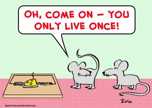 mice_mousetrap_only_live_once_524365 Urbanisation, corruption et croissance