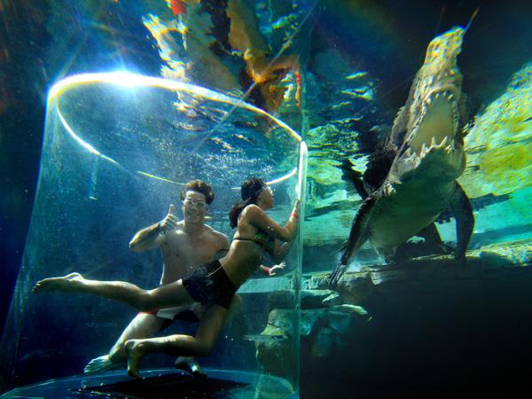 Cage-of-death-Crocodiles-Australia2 Immergez-vous dans la « Cage of Death » pour approcher un crocodile géant