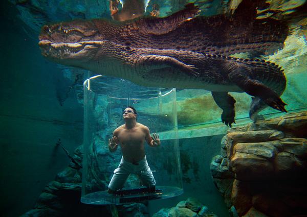 Cage-of-death-Crocodiles-Australia Immergez-vous dans la « Cage of Death » pour approcher un crocodile géant