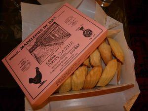 Délicieuses madeleines de Dax ! P1080206