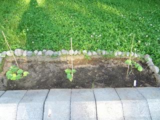 Notre jardin Notre jardin