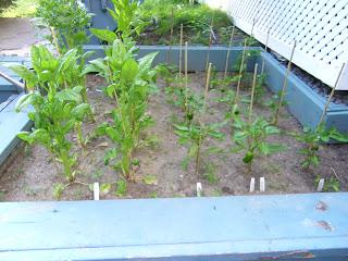 Notre jardin Notre jardin