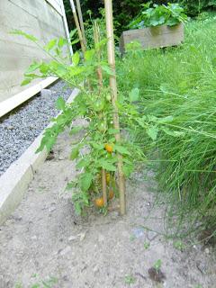 Notre jardin Notre jardin