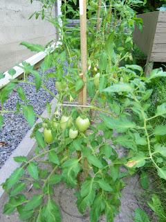 Notre jardin Notre jardin