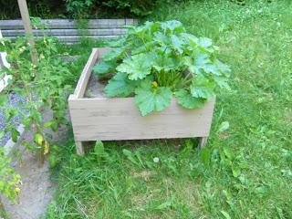 Notre jardin Notre jardin