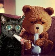 scaramouche Ted scaramouche Ted