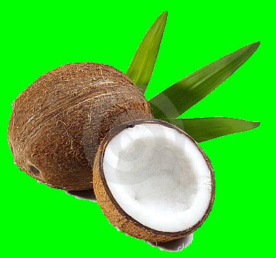 Le Saviez-Vous - Les bonnes réponses une-noix-de-coco.gif