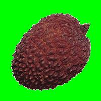 Le Saviez-Vous - Les bonnes réponses le-litchi.gif