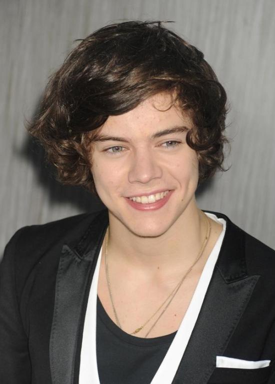 http://media.paperblog.fr/i/584/5846060/biographie-harry-styles-one-direction-L-RBEoEg.jpeg