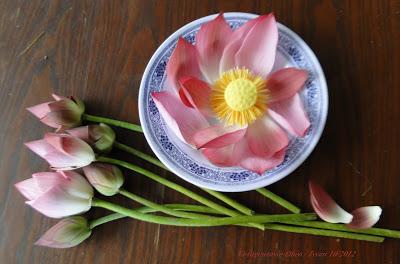 Issan : Lotus, préparation pour offrandes au Bouddha [HD]