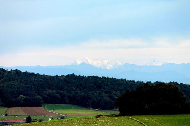 Ambiance feuilles mortes Ambiance feuilles mortes
