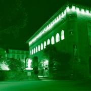 Musée Saint-Raymond, musée des Antiques de Toulouse Festival JARDINS SYNTHÉTIQUES « À la croisée des temps, les Arts » 2012