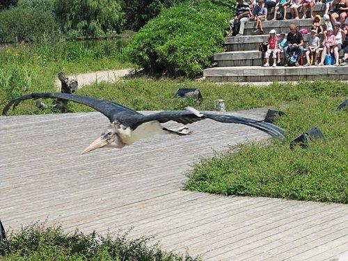 Villars les Dombes - 01 - N°3 Villars-les-Dombes 0253 1