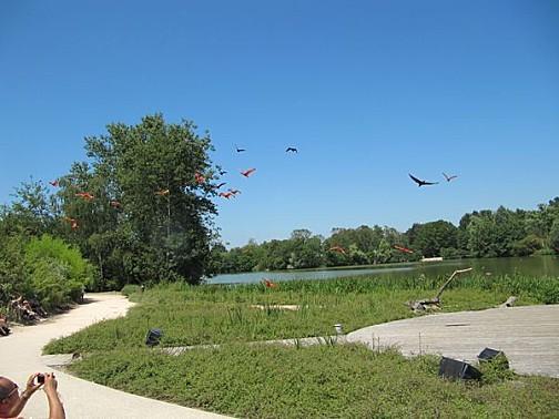 Villars les Dombes - 01 - N°3 Villars-les-Dombes 0284 1