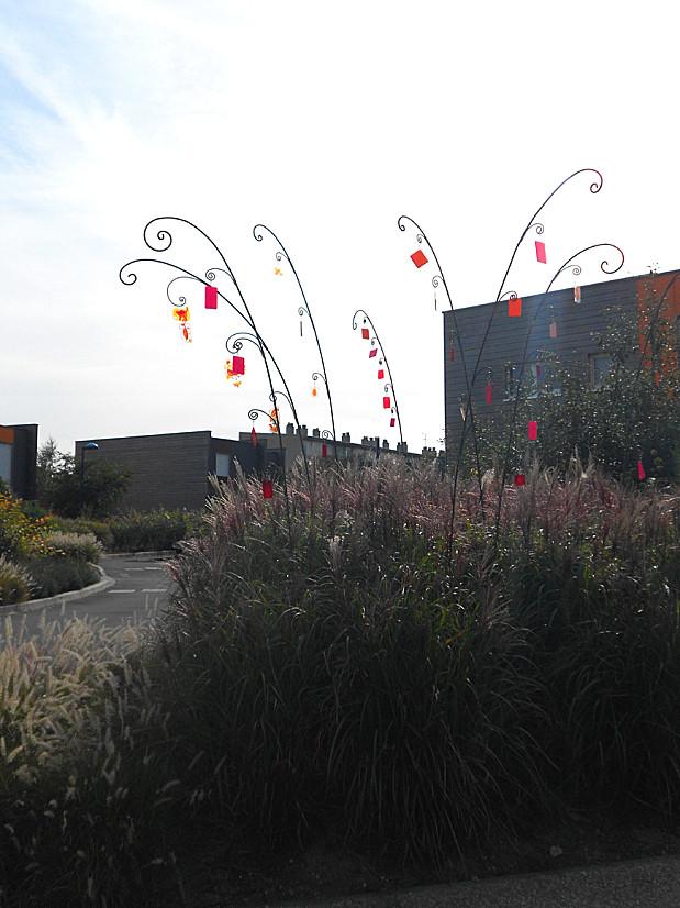 Ecoute le vent dans la Pampa... petite-pampa.-b.jpg