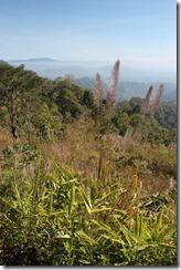 Thailande2011_1153 Thailande2011_1153