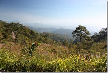 Thailande2011_1152 Thailande2011_1152