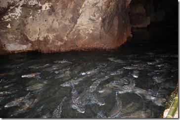 Thailande2011_1188 Thailande2011_1188