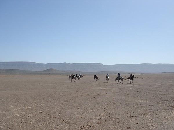 pas privée de désert..... DSC03192.jpg