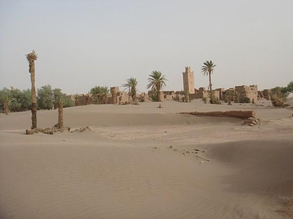 pas privée de désert..... DSC03076.jpg