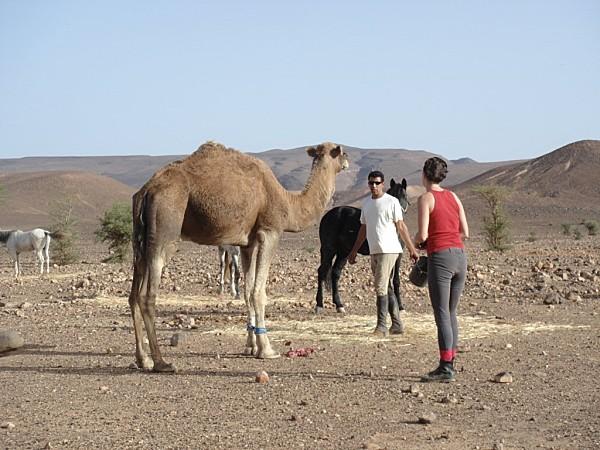 pas privée de désert..... DSC03027.jpg