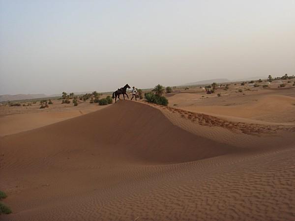 pas privée de désert..... DSC03112.jpg