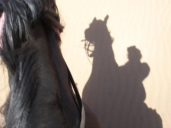 pas privée de désert..... DSC03212.jpg