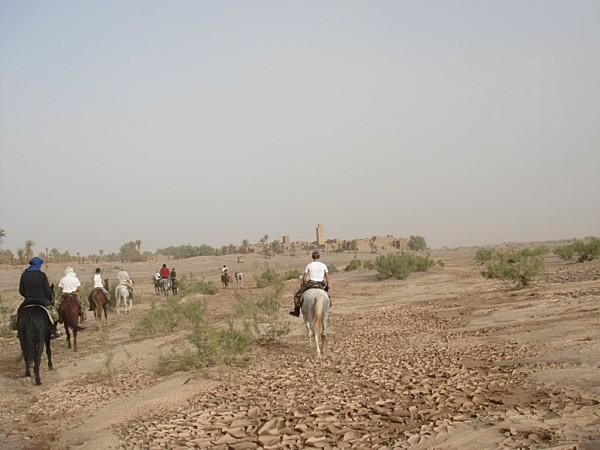 pas privée de désert..... DSC03070.jpg