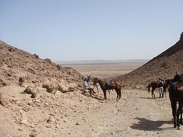 pas privée de désert..... DSC03095.jpg