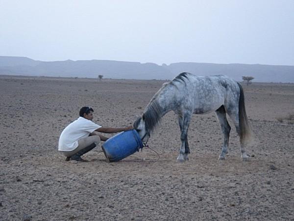 pas privée de désert..... DSC03041.jpg