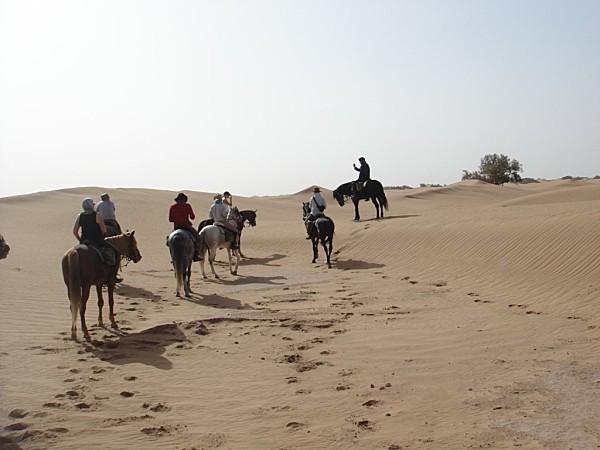 pas privée de désert..... DSC03047.jpg