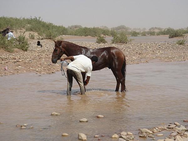pas privée de désert..... DSC03056.jpg