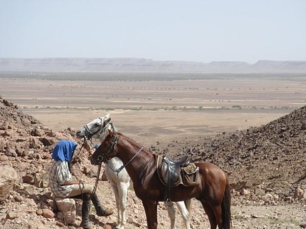 pas privée de désert..... DSC03098.jpg