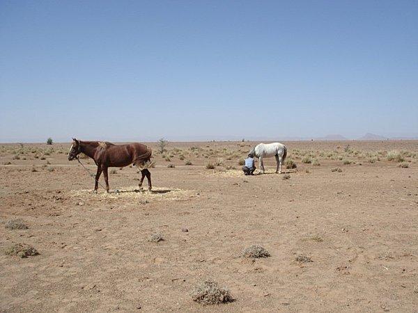 pas privée de désert..... DSC03016.jpg