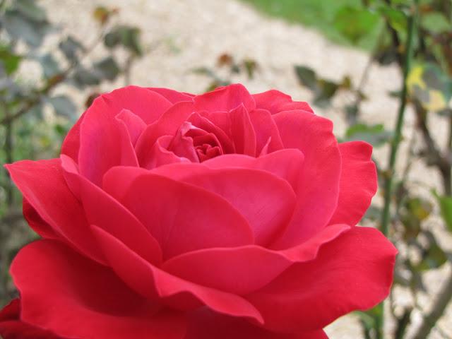 autumn in normandy autumn in normandy