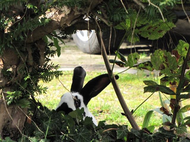 autumn in normandy autumn in normandy