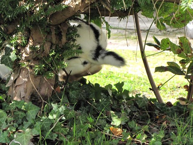 autumn in normandy autumn in normandy