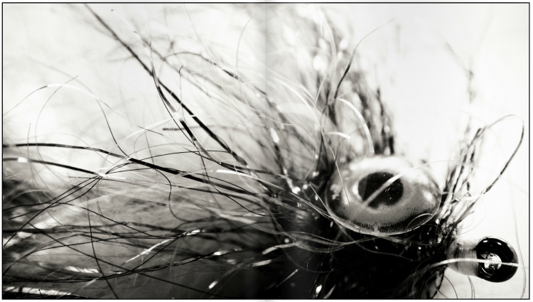 Southern Culture On The Fly #5 Southern Culture On The Fly #5