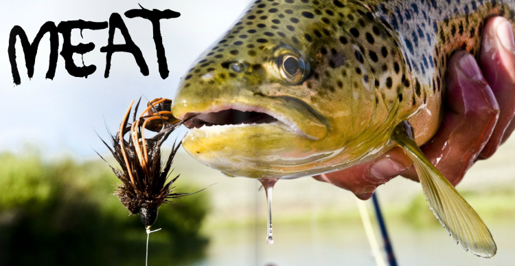 Southern Culture On The Fly #5 Southern Culture On The Fly #5